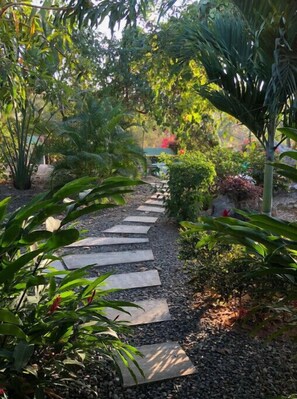 View from front porch towards the pool