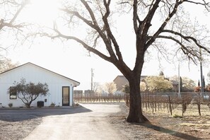 Driveway view approaching the house 