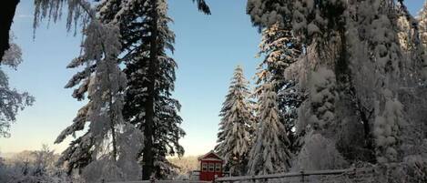 Beautiful winter day in the Canyon