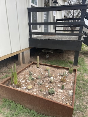 Sweet little cactus garden by the front door.