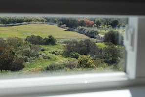 View from the bed.