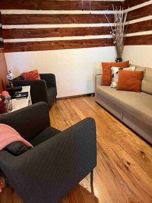living room with futon bed