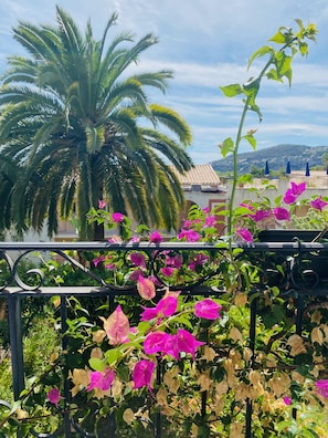 The flowers on the balcony