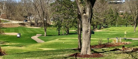 View of golf course from house