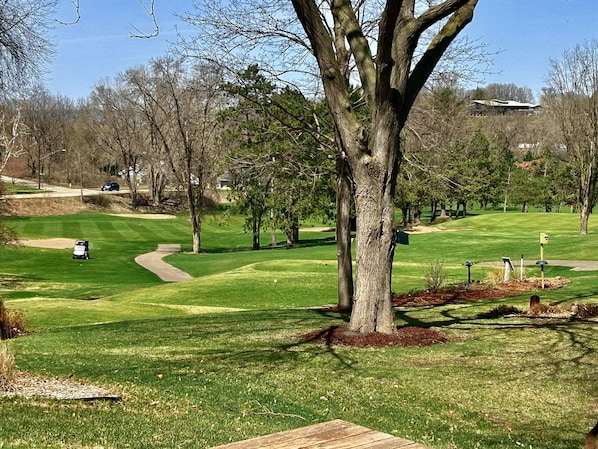 View of golf course from house