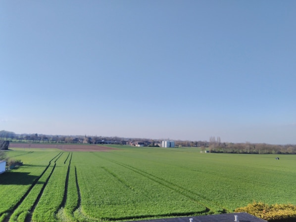 Boendeområde