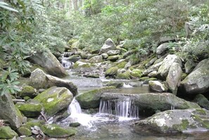 施設の敷地