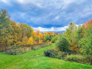 Gorgeous views out back in the fall