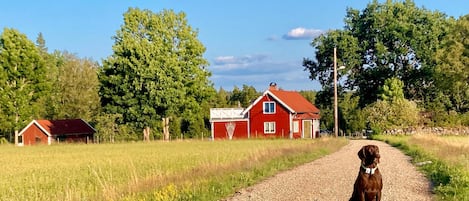 Terrein van de accommodatie