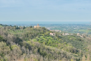 Scenic View
