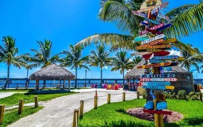 TT's Tiki Bar