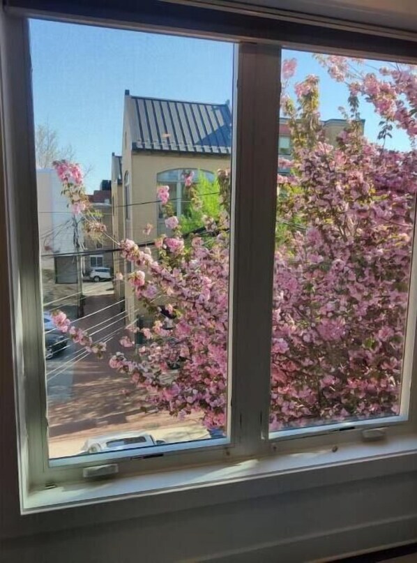 View of cherry blossom in April from the master bedroom