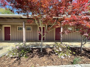 Tree, Nature, Outdoors, Yard, Shelter