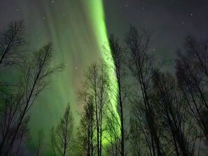 Aurora from Deck 2 (Only During Certain Times of the Year)