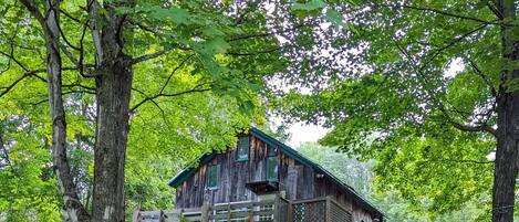 View from the pond of the cabin