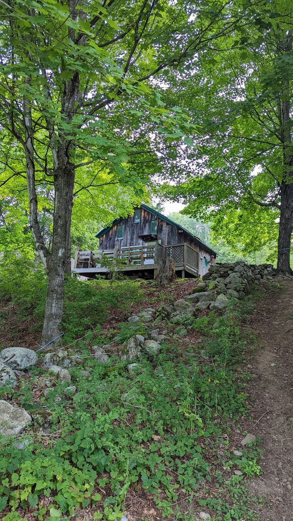 View from the pond of the cabin