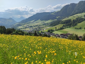 Vue de la maison de vacances [été]