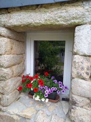 Detalle exterior