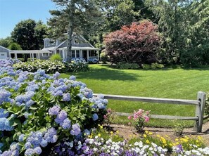 Large, green front yard