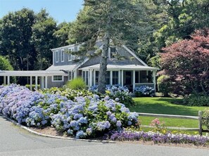 Street view of home