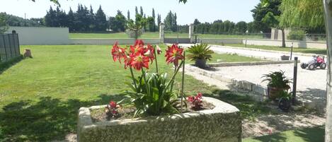 Jardines del alojamiento