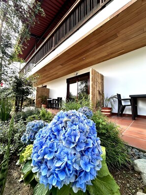 Terrasse/gårdhave