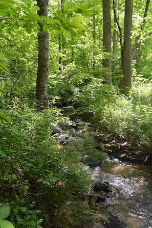 The babbling creek just across the driveway