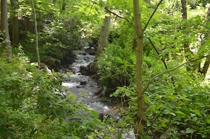 Small waterfalls are on this creek.  We have picnic tables and firerings 