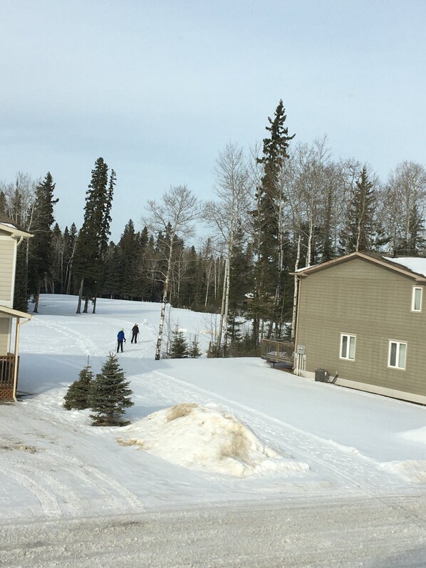 Snow and ski sports