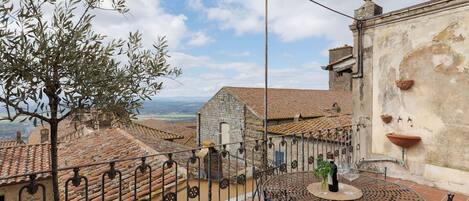 Balcony / Terrace / Patio, Scenic View