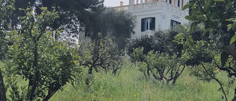 Terrain de l’hébergement 