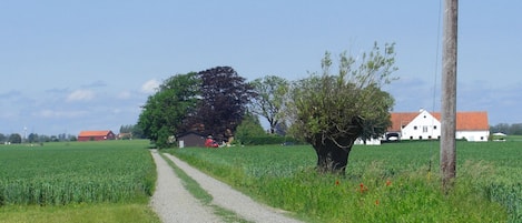 Overnattingsstedets uteområder