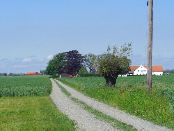 Autre