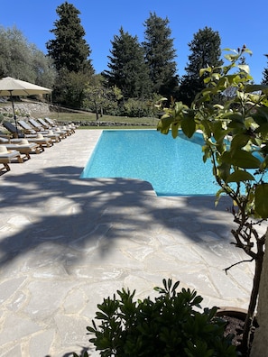 View from the pool house to the pool and the lemon tree