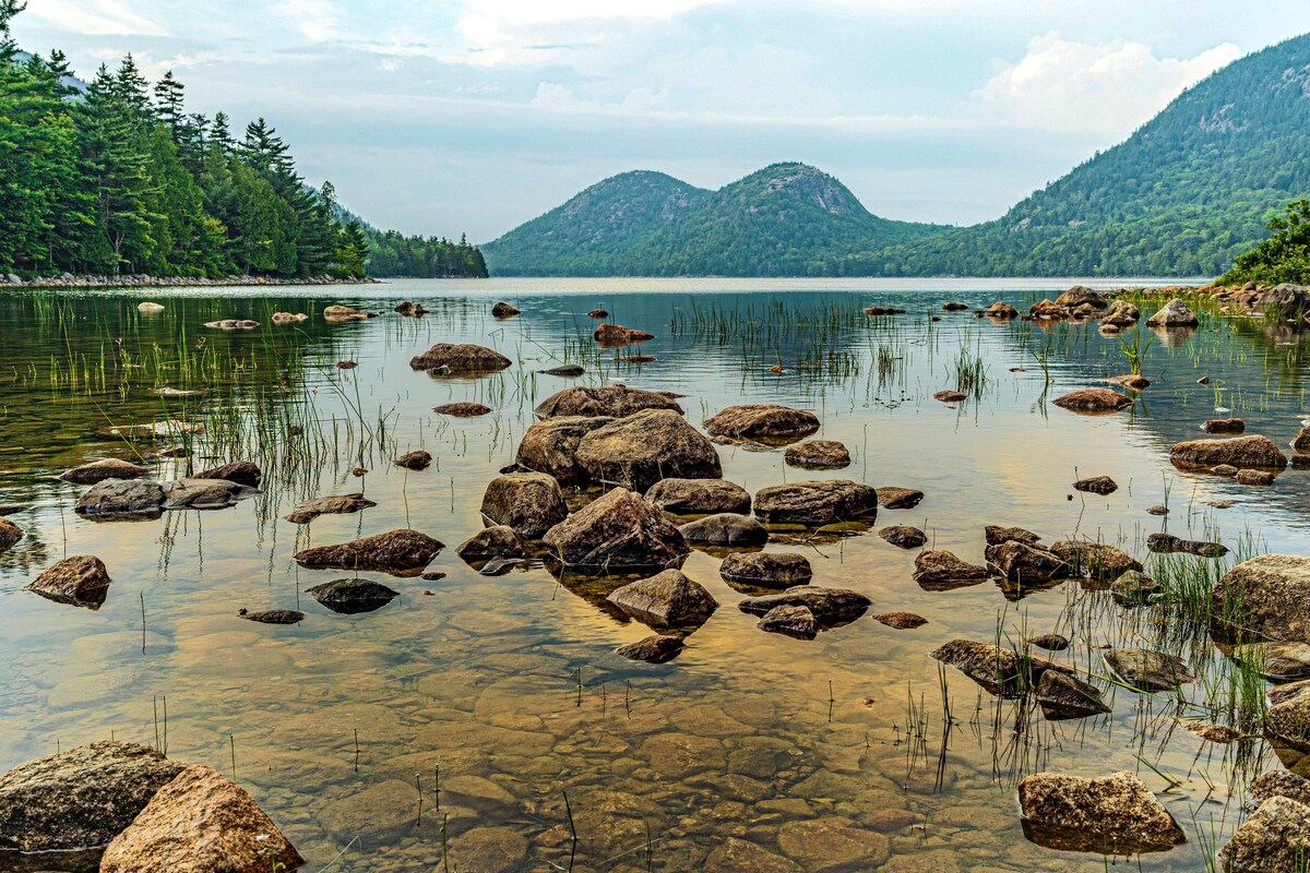Main Image