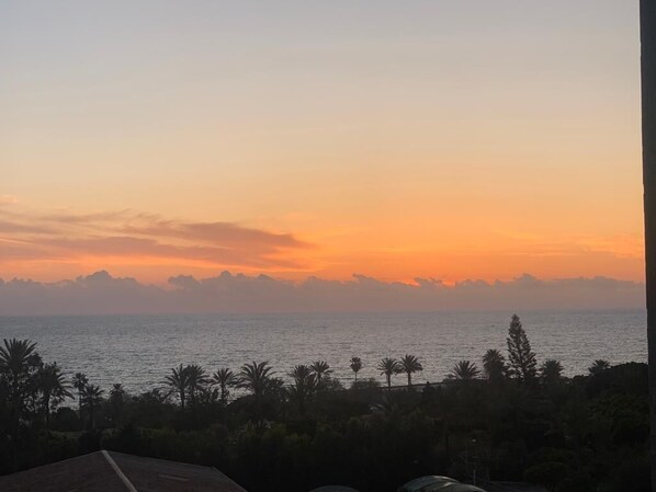 Vue sur la plage/l’océan