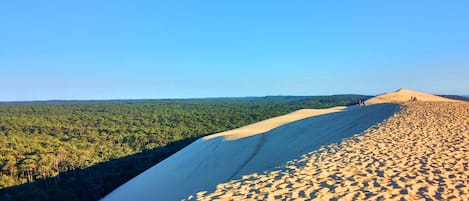la grande dune du Pilat (la plus haute d'Europe) à 15 minutes en voiture