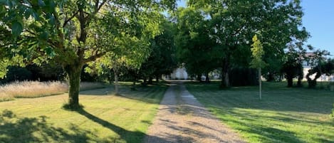 Jardines del alojamiento