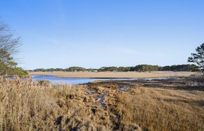 Quiet, Peaceful, and surrounded by amazing Natural Beauty.