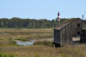 Take in stunning Views of the Assateague Channel, Assateague Island, and of course, Assateague Light!
