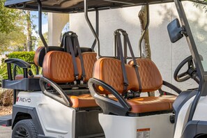South Walton Cart Available for Rent - Additional Fees Apply