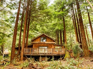 The forest surrounds every inch of this private quite space.