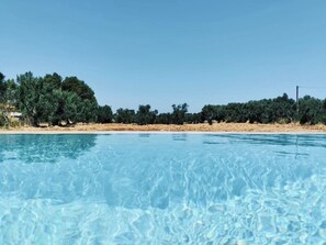 L’oliveraie en prolongement de la piscine 