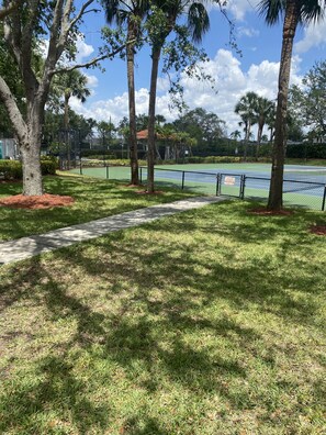 Sport court