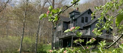 The Main House in spring