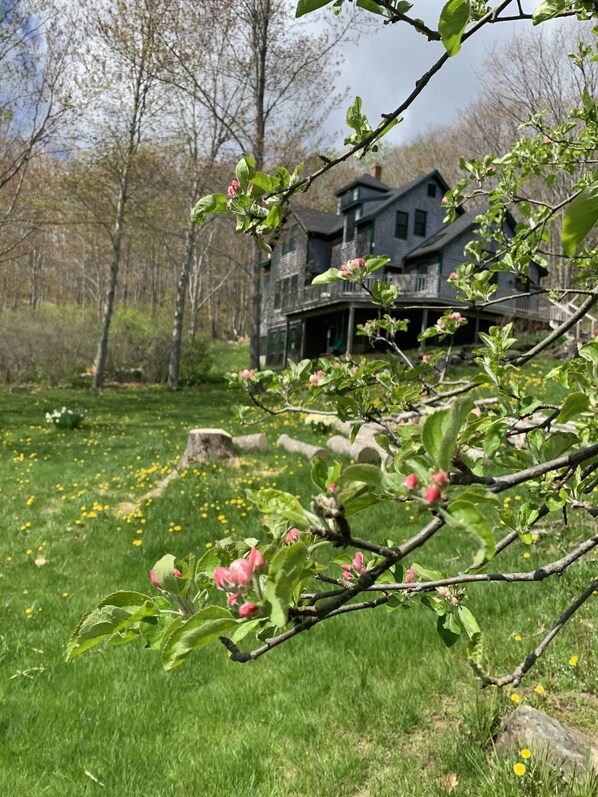 The Main House in spring