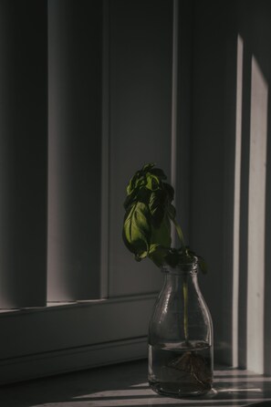 Innendetails