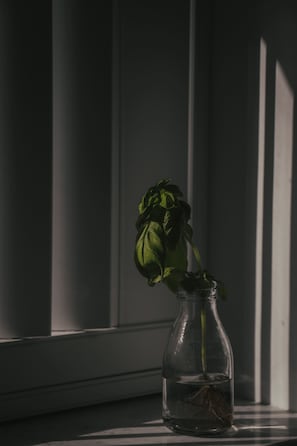 Innendetails