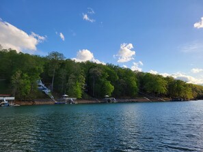 Cove View