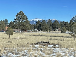 Mountain View from the back deck